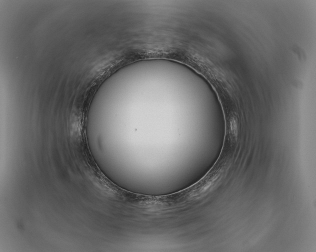 X0000112071300200908181211