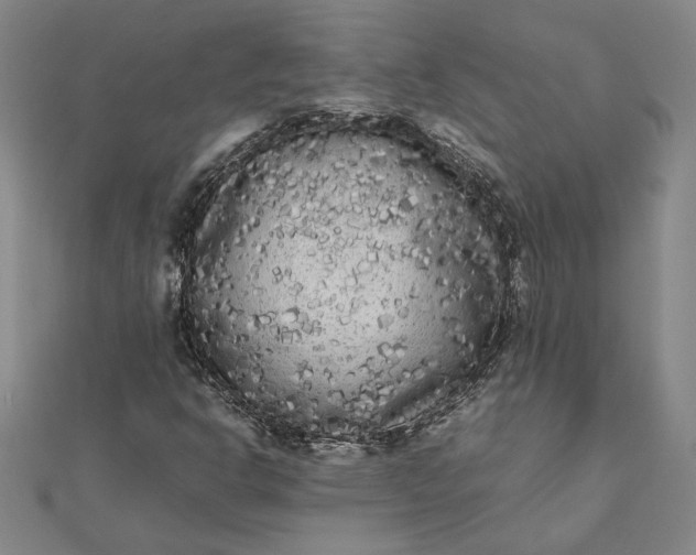 X0000112071302200908181211