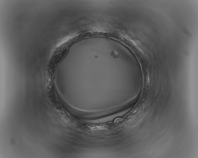 X0000112071303200908181211