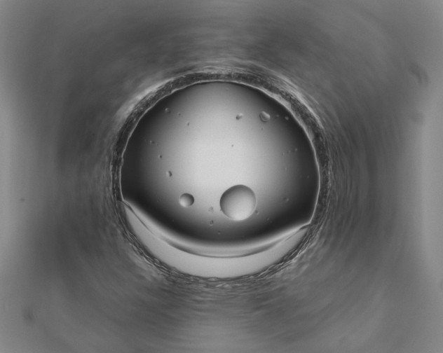 X0000112071304200908181211