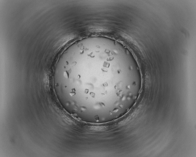 X0000112071305200908181211