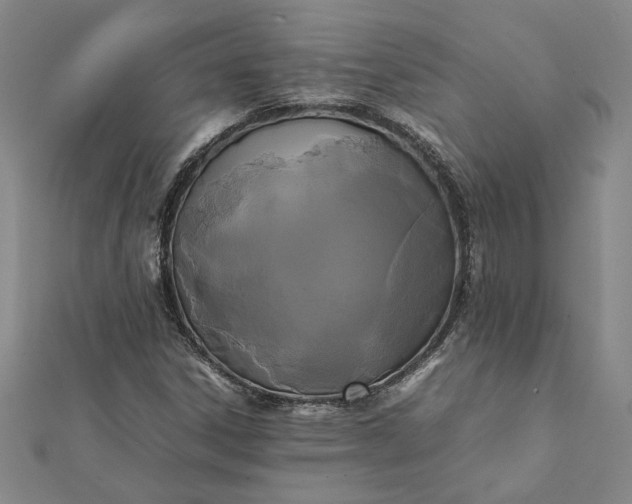 X0000112071306200908181211