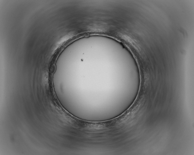 X0000112071307200908181211