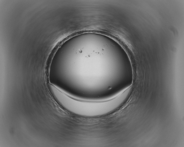 X0000112071308200908181211