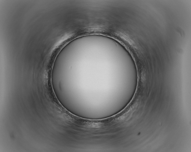 X0000112071309200908181211