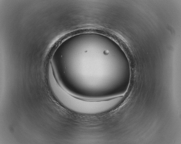 X0000112071310200908181211