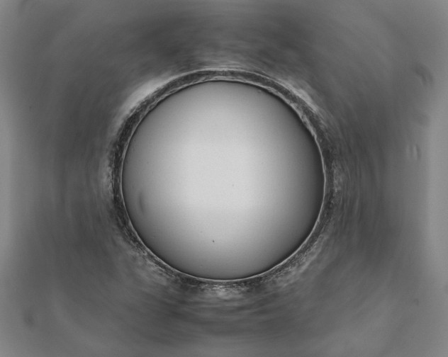 X0000112071311200908181211