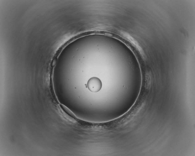 X0000112071316200908181211