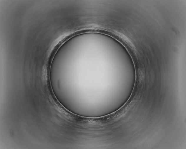 X0000112071318200908181211