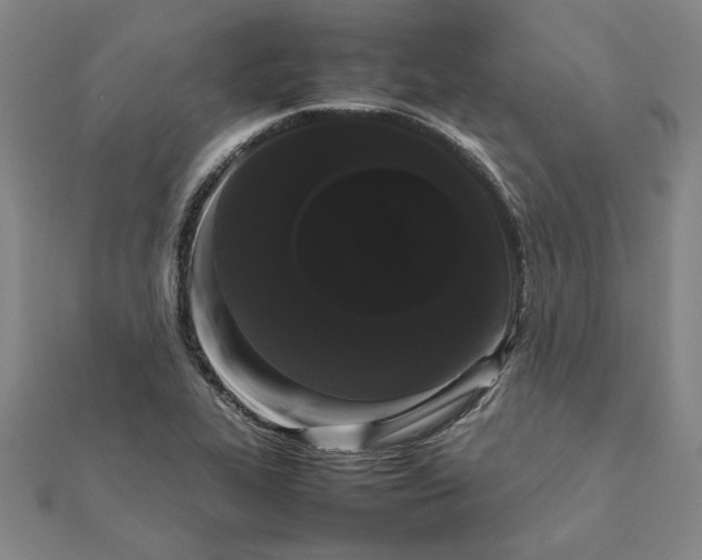 X0000112071319200908181211