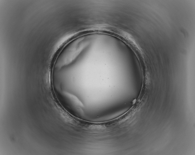 X0000112071320200908181211