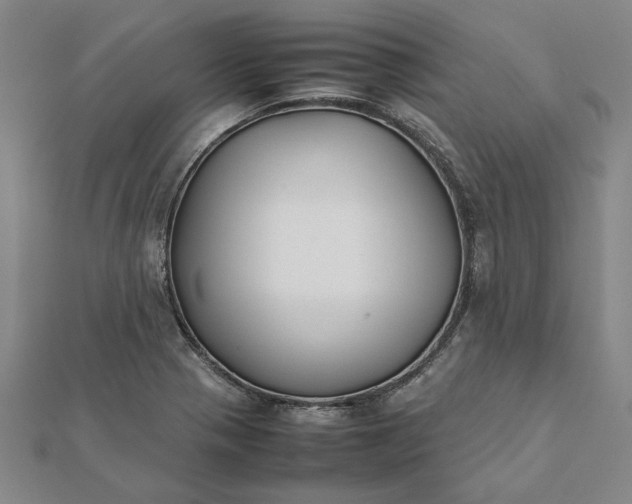 X0000112071321200908181211