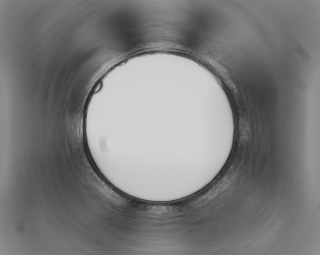 X0000112071322200908181211