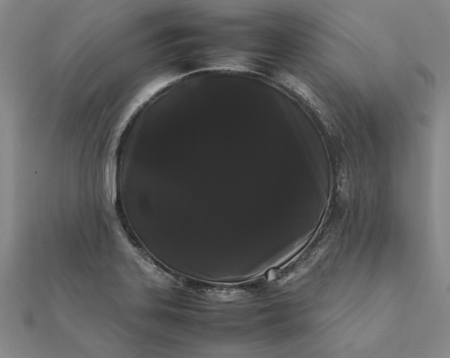 X0000112071323200908181211