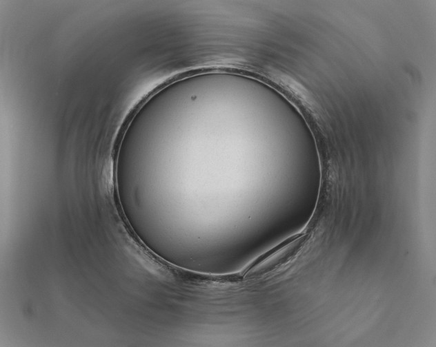 X0000112071324200908181211