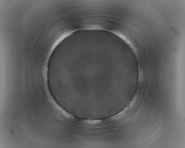 X0000112071325200908181211