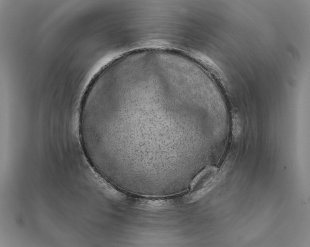 X0000112071326200908181211