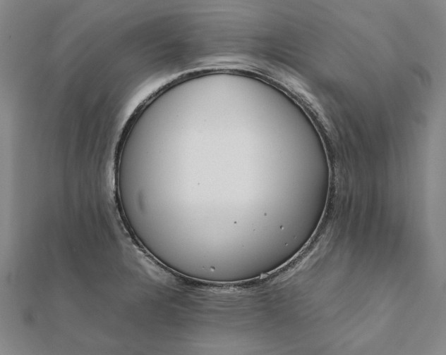 X0000112071328200908181211