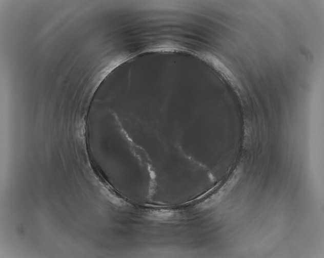 X0000112071329200908181211