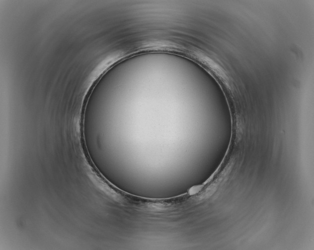 X0000112071330200908181211