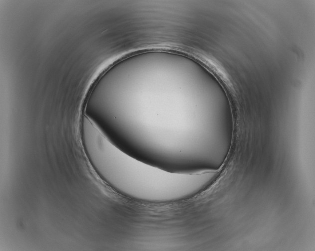 X0000112071332200908181211