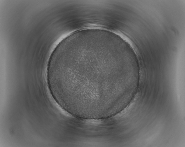 X0000112071333200908181211