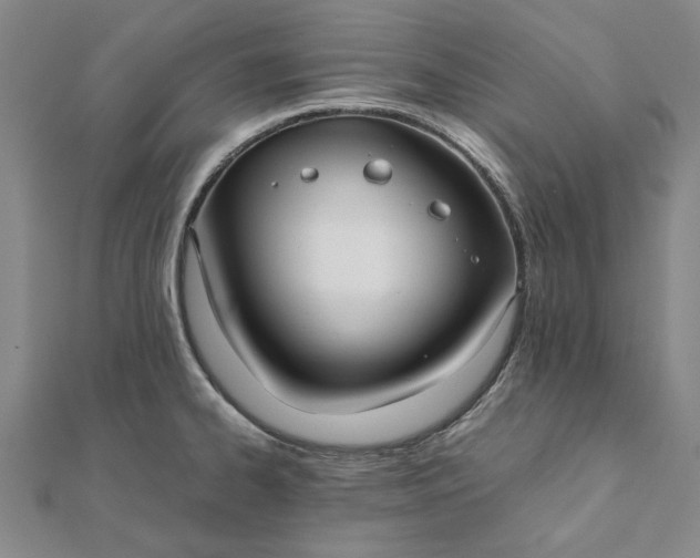 X0000112071334200908181212