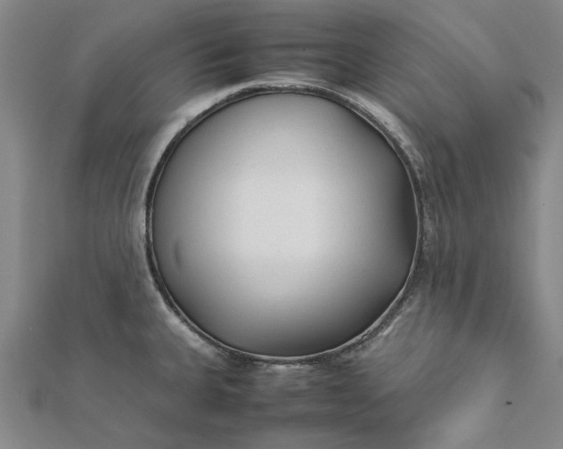 X0000112071335200908181212