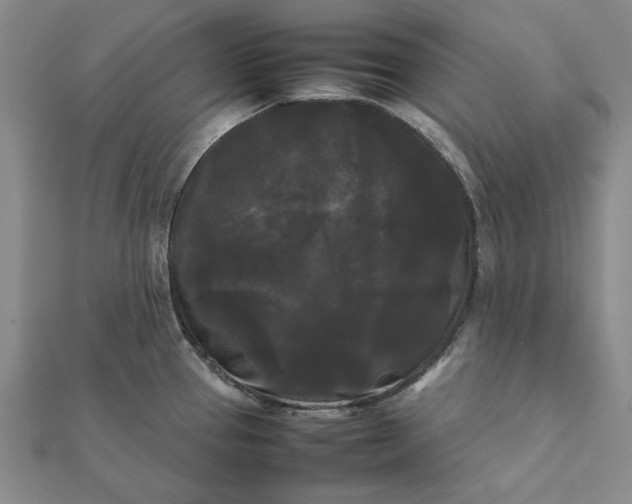 X0000112071337200908181212