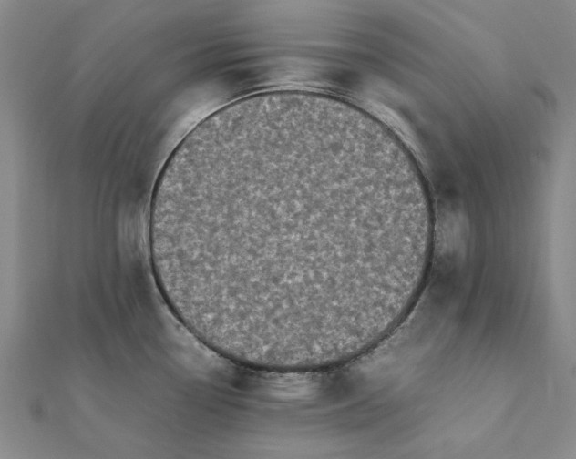 X0000112071338200908181212