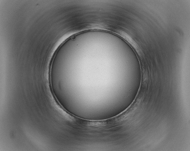 X0000112071339200908181212