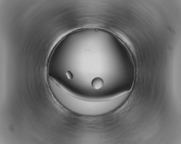 X0000112071340200908181212