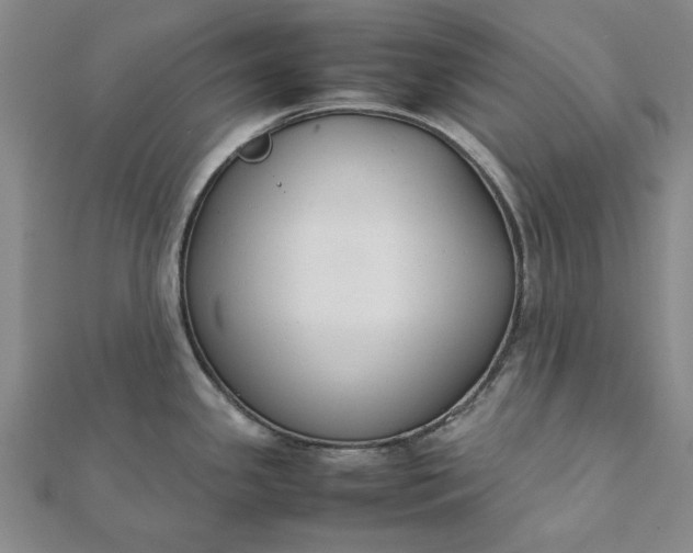 X0000112071341200908181212