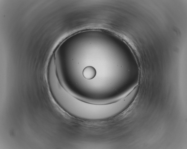 X0000112071342200908181212