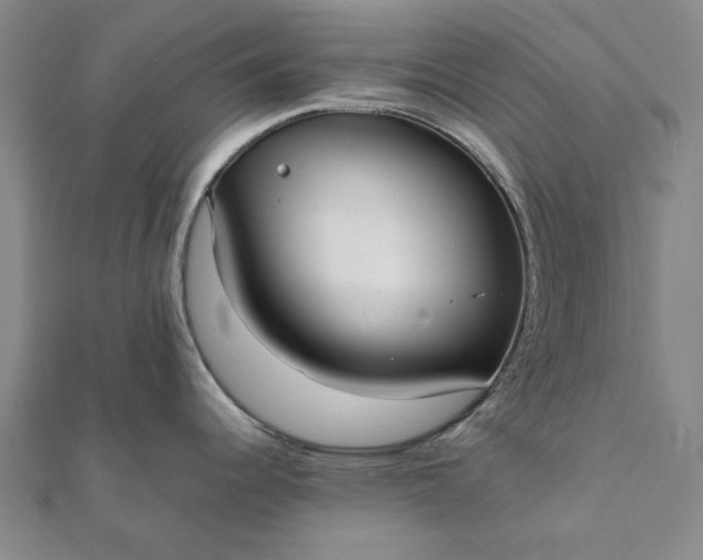 X0000112071344200908181212