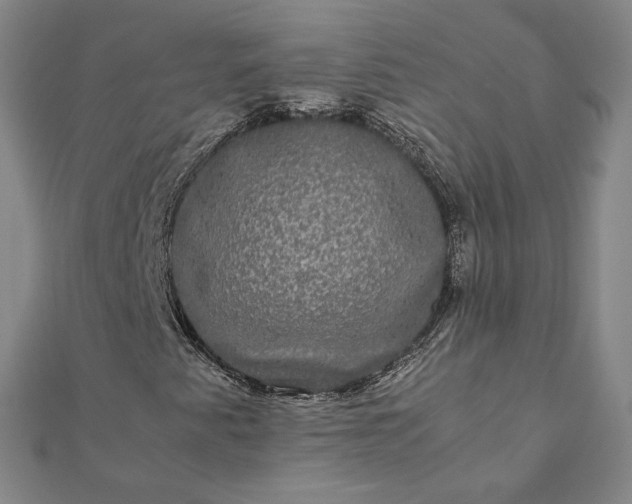 X0000112071345200908181211