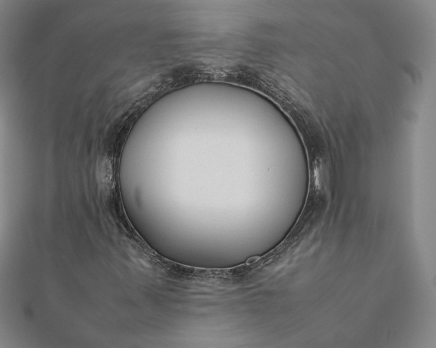 X0000112071347200908181211