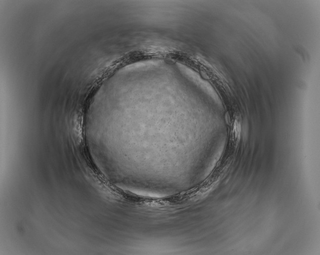 X0000112071348200908181211