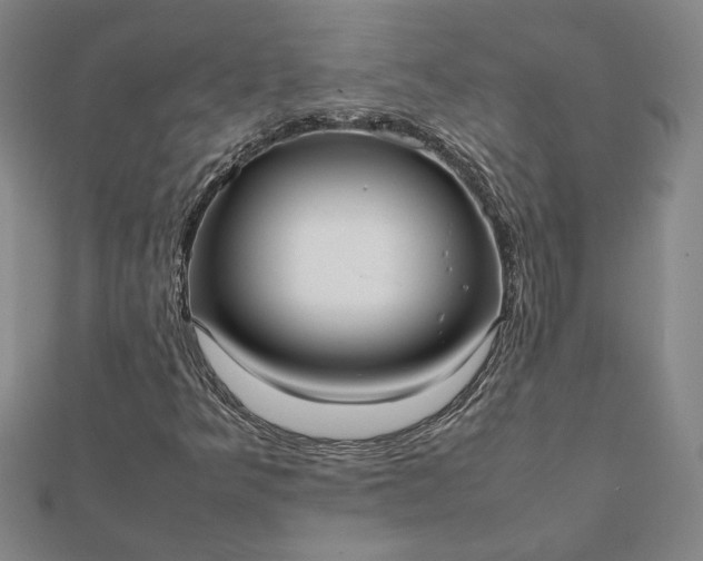 X0000112071349200908181211