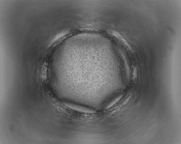 X0000112071350200908181211