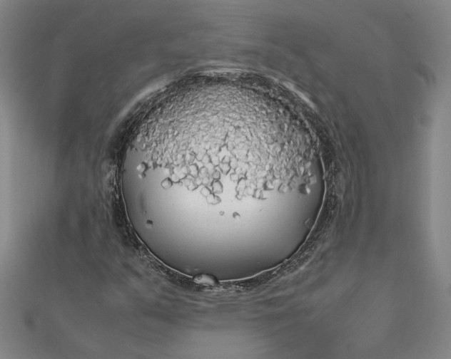 X0000112071351200908181211