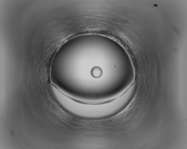 X0000112071353200908181211