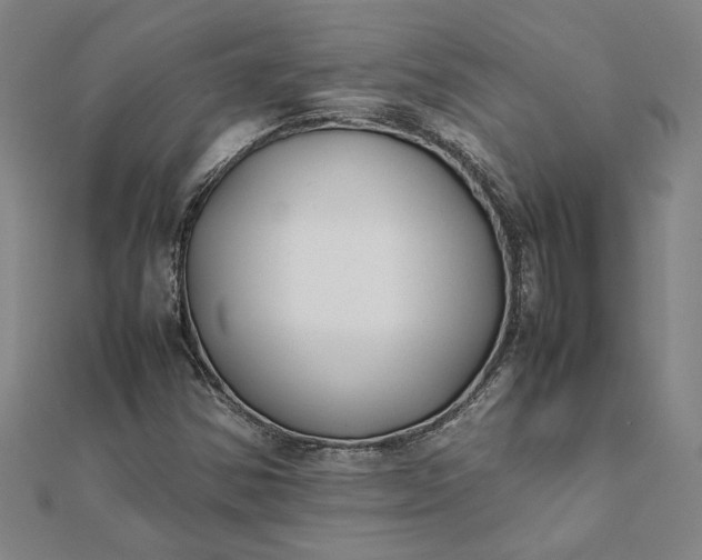 X0000112071354200908181211