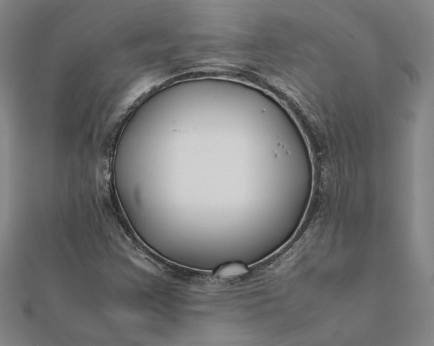 X0000112071355200908181211