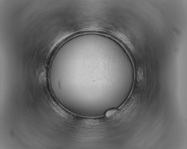 X0000112071356200908181211