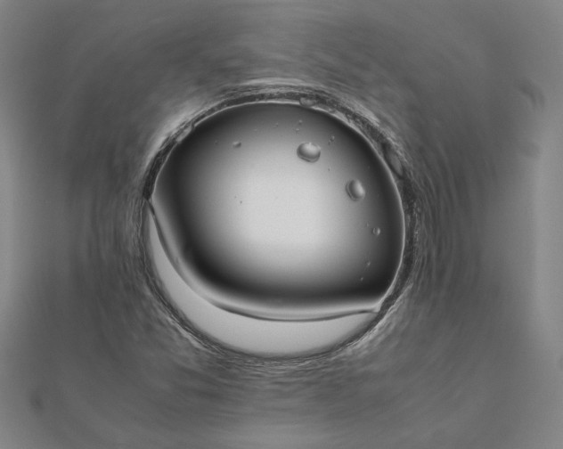 X0000112071357200908181211