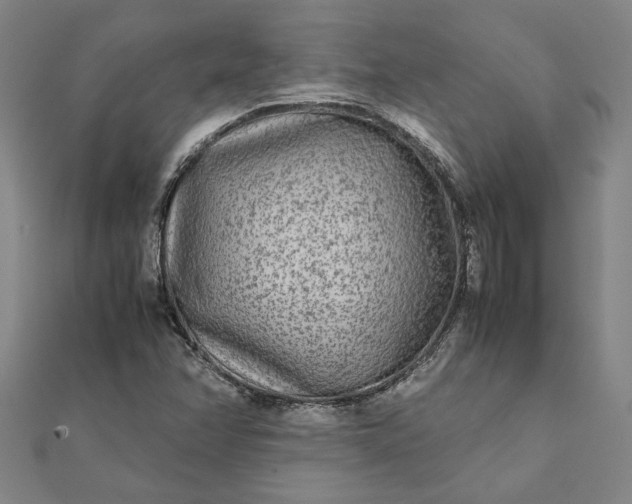 X0000112071358200908181211