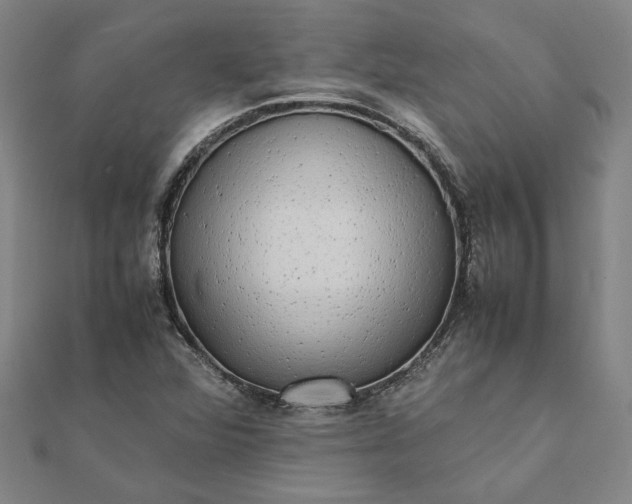 X0000112071360200908181211