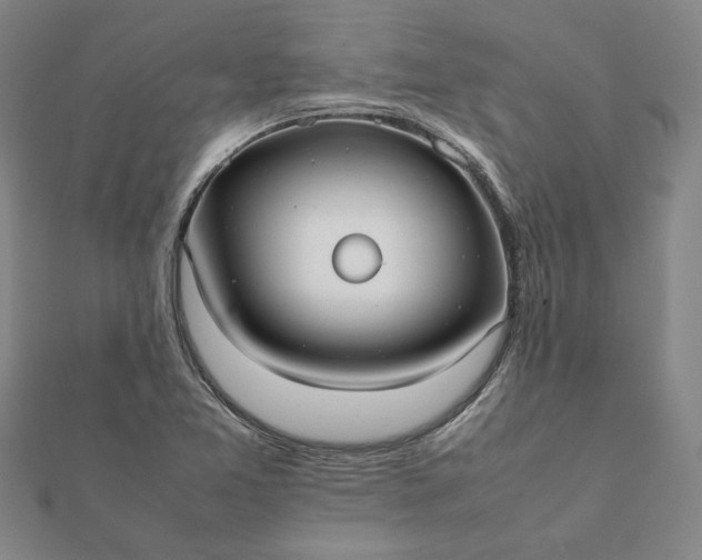 X0000112071365200908181211