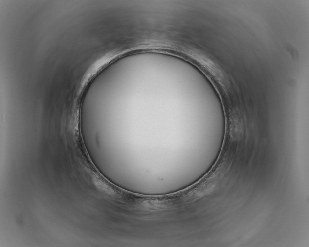 X0000112071366200908181211